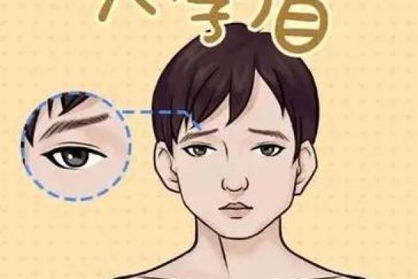 探秘命好人面相特征，揭示幸福人生的秘密！