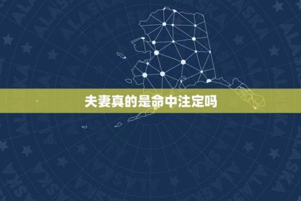 命盘中的缘分指引：探寻命中注定的关系与机会