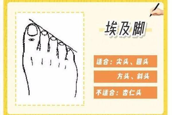 探秘脚型与命运之间的奥秘，决定你一生的根基!