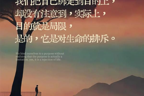 探索鸿命的奥秘：揭示命运、人生与选择的关系