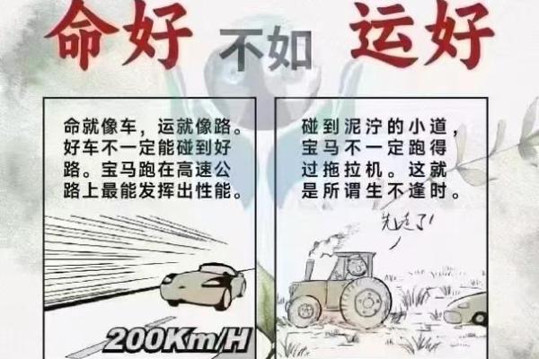 探寻古代命理：我是何命，如何影响你我人生？