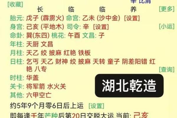 探索2004年甲申年：猴年的命理与人生启示