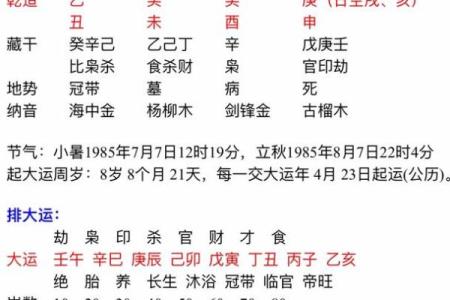 探秘乙丑年：深入了解乙丑年的命理特征与人生影响