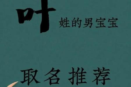 红豆的宝宝是什么命：探索生辰与命运的奥秘