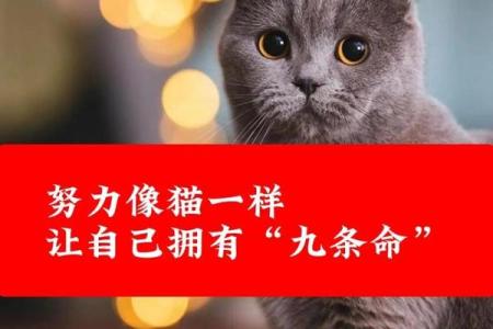 揭开“命太强”的神秘面纱，让你重拾生活的信心与勇气！