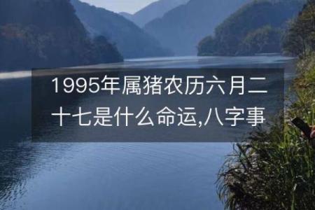 1995年出生人的命运与生活：生肖猪的魅力与挑战