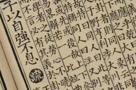 理解事业中上命局：成就人生的秘密武器