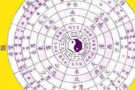 探秘白蜡金命：了解命理背后的深意与影响