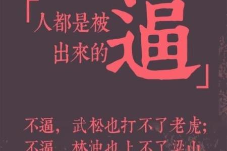 探秘女命：2001年出生的你，命运与性格的深度解析