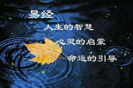 2023年59岁命运解析：探寻人生的智慧和转折点