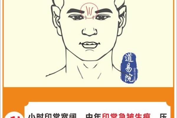脸蛋上有褶子是什么命？从面相学探秘人生运势
