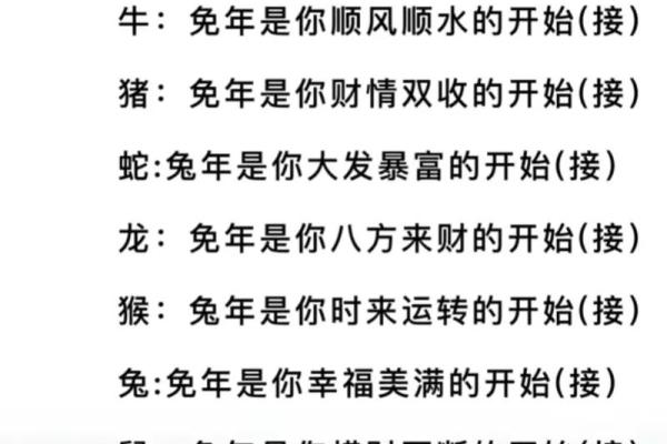1971年：兔年命运与梦想的交织之旅