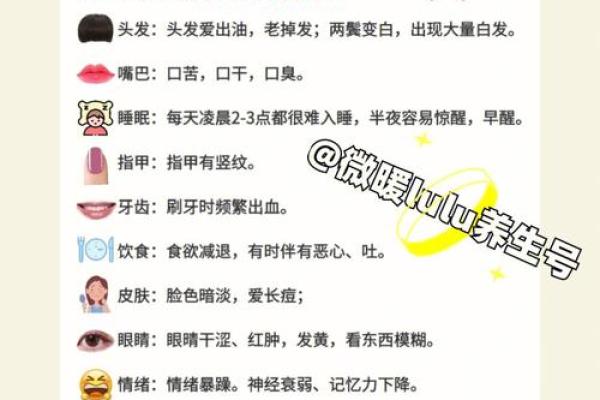 养生等于养命,保护健康的秘诀与注意事项 养生等于养命,保护健康的秘诀与注意事项