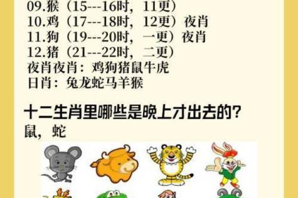 揭秘生肖狗的命运与性格特征，探寻12生肖中的忠诚伙伴