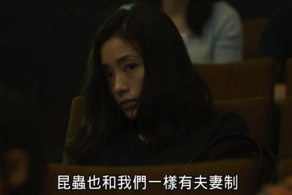 探寻命运的轨迹：为什么有些人选择了出轨？