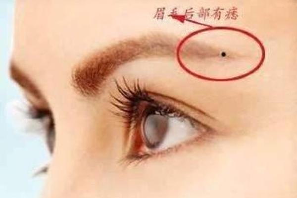 头发硬、眉毛粗，命运如何解读？深度探讨这些特征背后的性格与命运！