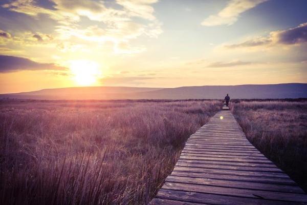 探寻心灵深处：为何有人选择不入命格？