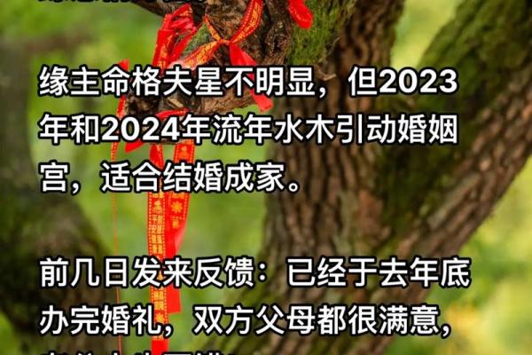 揭秘：从命格看，哪些女人的婚姻更幸福？