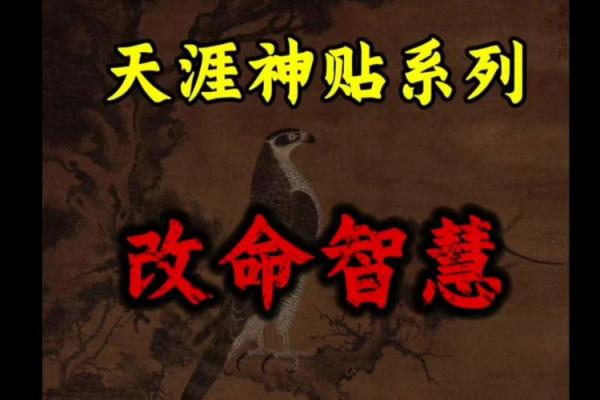 探寻女人短命背后的原因与改变命运的智慧之道