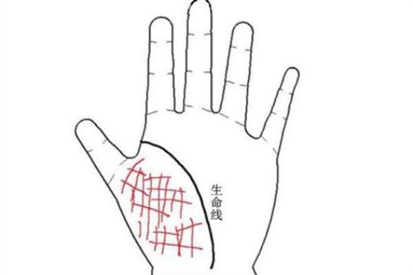 1998年出生者的命理解析：揭开命运的神秘面纱