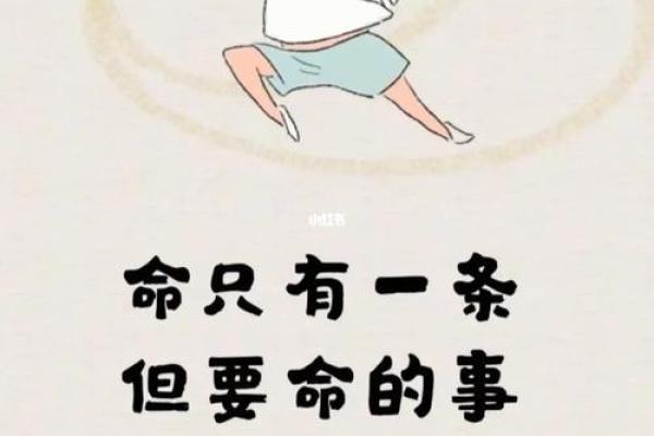 用一条命换一条命：生命的交替与价值的思考