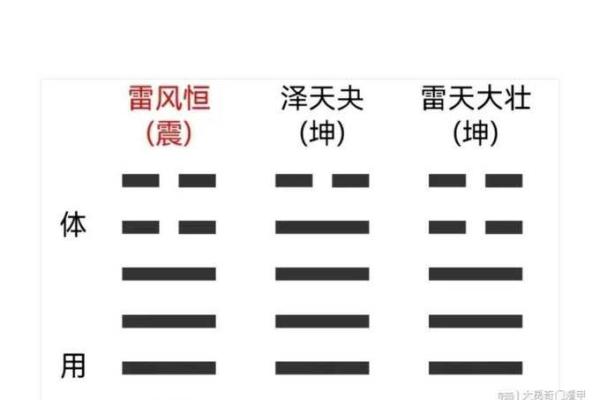 水命与木命:最佳搭配与风水运势探讨 水命与木命:最佳搭配与风水运势探讨