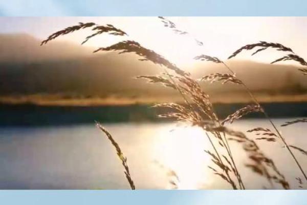 探寻“并且”在生活中的深刻意义与广泛应用