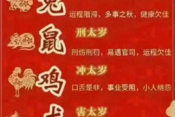 2023年，兔年运势分析：如何把握机遇，提升个人魅力与幸福感？