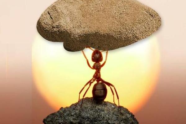 探寻西四命的方位密码，开启你的人生旅程