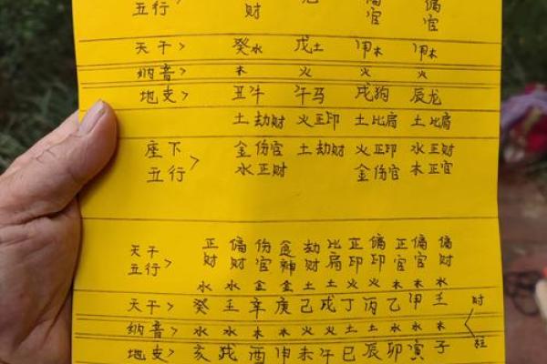 2025年五行命理解析:如何助力你的人生道路? 2025年五行命理解析:如何助力你的人生道路?