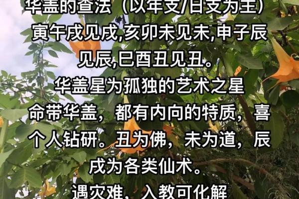 华盖星的命理解析：如何识别与应对命局中的华盖星能量