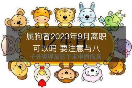 狗年命理：让你的生活更美好的幸运物与助运法
