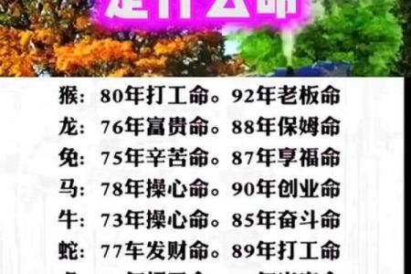 缘也是命：探寻人生中的奇妙与必然