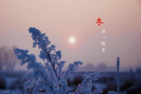 立冬出生的人命运解读：寒冬里的温暖光芒