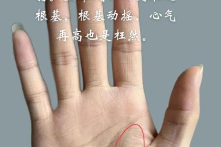 女士左手假断掌的命运解析：揭秘掌纹中的秘密与人生走向