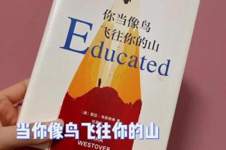 《换命真相：究竟是命运的捉弄还是自我救赎？》