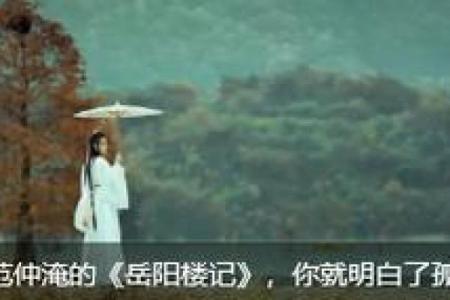 命若琴弦：弹奏生命的华美乐章与感悟