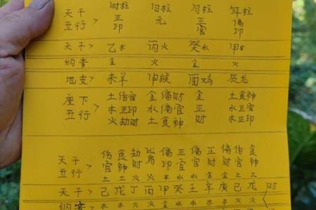 94年出生的人命理解析：五行属性与命运的奥秘