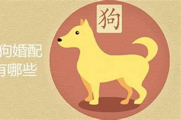 1994年属狗的命理解析及五行缺失