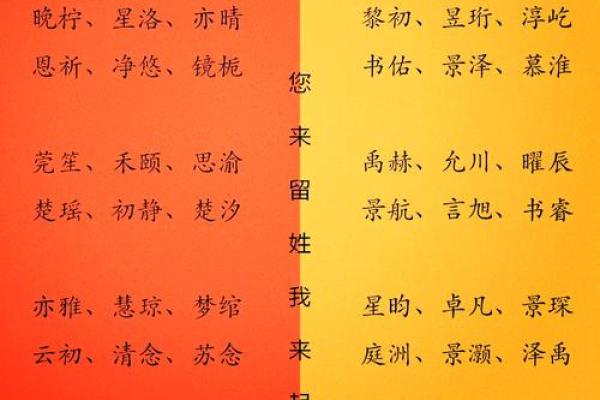 2023年宝宝起名指南：给孩子一个美好的未来！