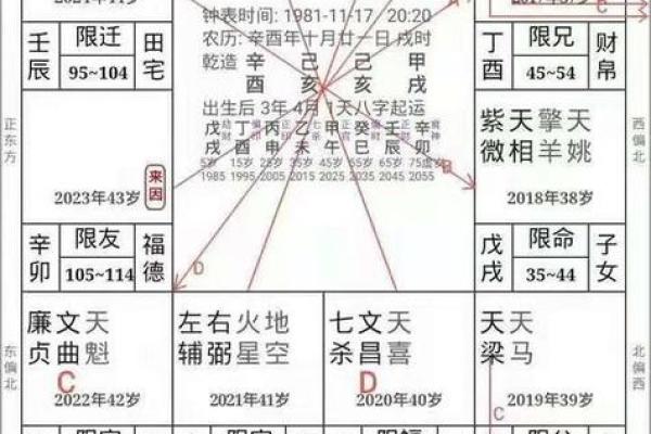 1994年属什么命？92个生肖解析与命运启示！