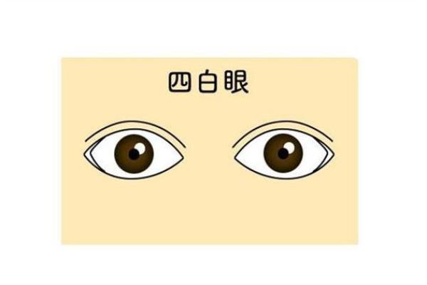 1991年出生的羊年人：命运、性格与生活启示