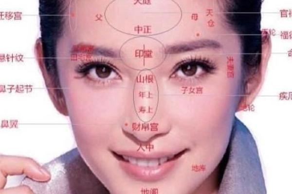 女人水型面相解析：如何通过面相看命运与性格的奥秘