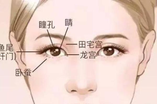 女人水型面相解析：如何通过面相看命运与性格的奥秘