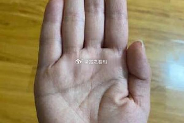 探秘戴西太后命理：如何选择适合她的命理之道