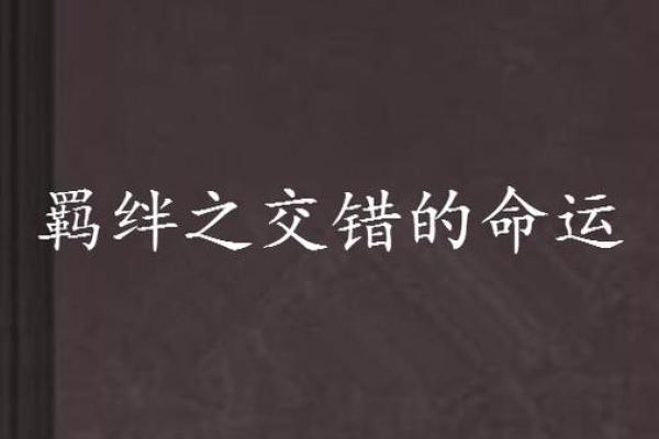 命运的羁绊：我与我哥的生活对比