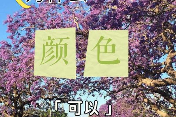涧下水命的色彩哲学：如何选择最适合的颜色来提升运势