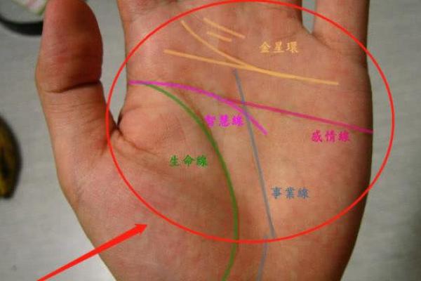 算命与赌博：什么命里的人更容易在赌桌上获胜？
