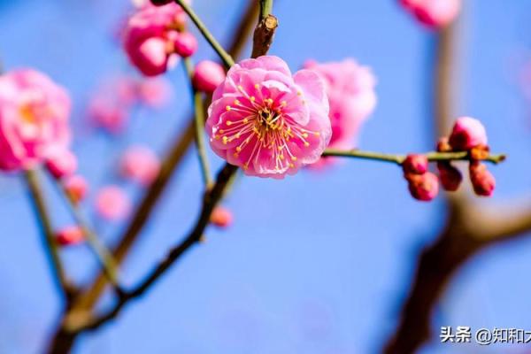通过生命数字揭示你的人生寿数与命运真谛
