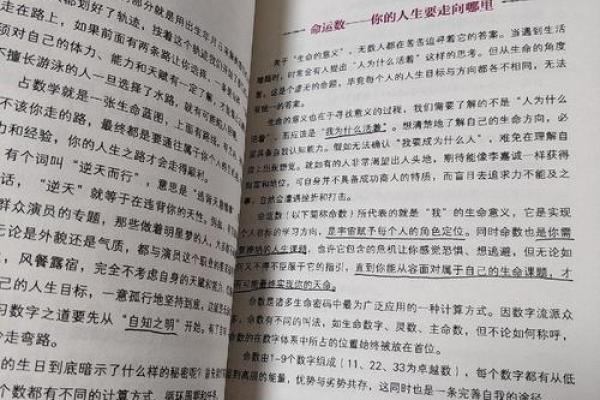 探寻喜色命理：揭开颜色背后的命运密码